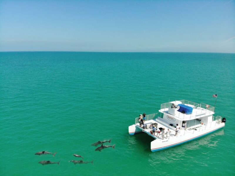 Key West: Dolphin Watching and Snorkeling Sunset Cruise - The Itinerary: What to Expect on the Water