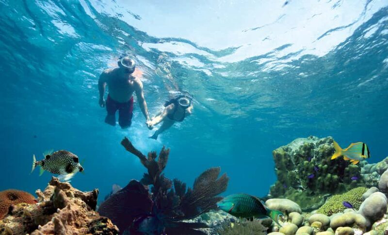 Key West Double Dip: 2-Stop Reef Snorkeling Trip - Exploring the Key West Double Dip: 2-Stop Reef Snorkeling Trip
