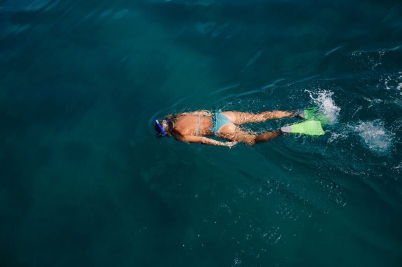 Key West: Eco Safari Sandbar Tour with Snorkeling - Key Points