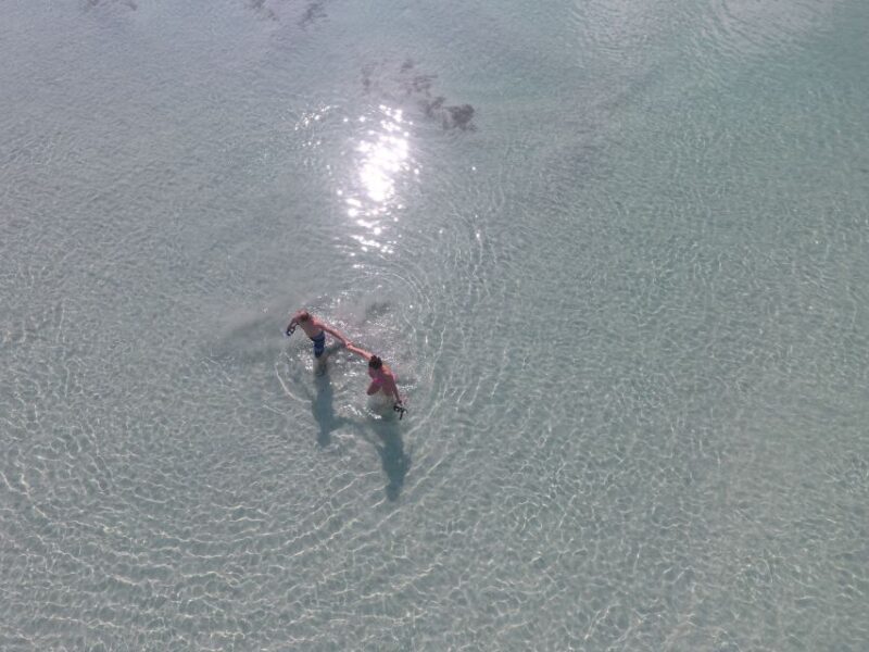 Key West: Eco Safari Sandbar Tour with Snorkeling - The Sum Up