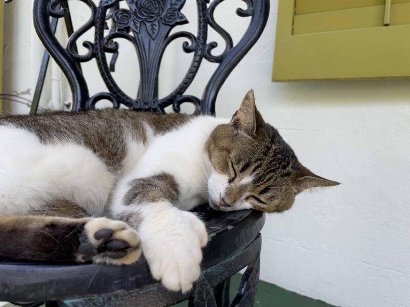 Key West GPS Audio Tour: From Seaside Village to Micro State - FAQ