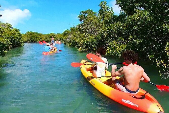 Key West Hidden Sanctuary Mangrove Kayak Tour With Drinks - Key Points