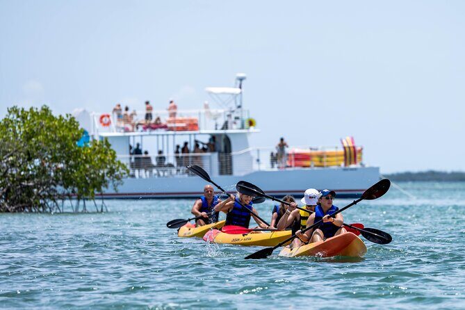 Key West Hidden Sanctuary Mangrove Kayak Tour With Drinks - In-Depth Breakdown of the Itinerary