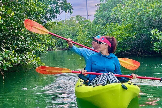 Key West Kayak Eco Tour | An Eco-Friendly Adventure Awaits! - What to Expect from the Key West Kayak Eco Tour