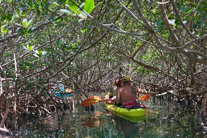Key West Kayak Eco Tour | An Eco-Friendly Adventure Awaits! - Final Thoughts