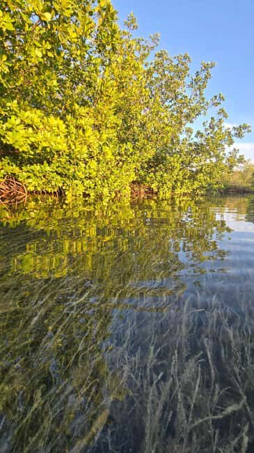 Key West: Kayak or Paddleboard Rental - Key Points