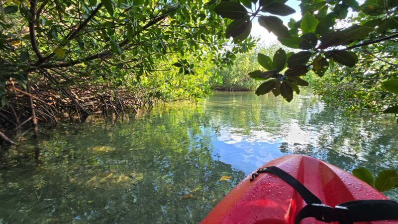 Key West: Kayak or Paddleboard Rental - Who Should Consider This Experience?
