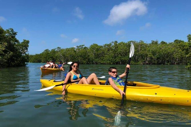 Key West Mangrove Kayak Eco Tour - What to Expect from the Key West Mangrove Kayak Eco Tour