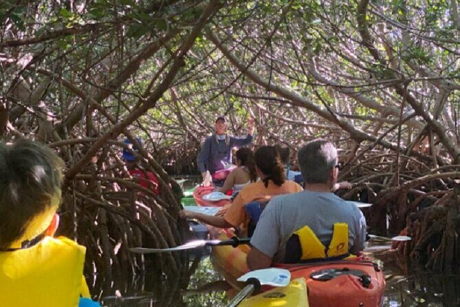 Key West Mangrove Kayak Eco Tour - Why This Tour Might Be Perfect for You