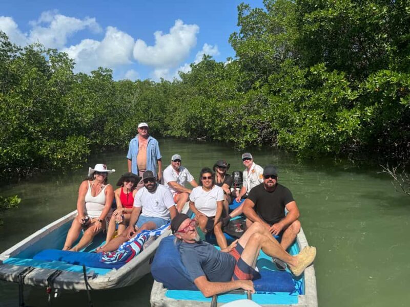Key West: Mangroves & Bars Motorboat Tour - Key Points