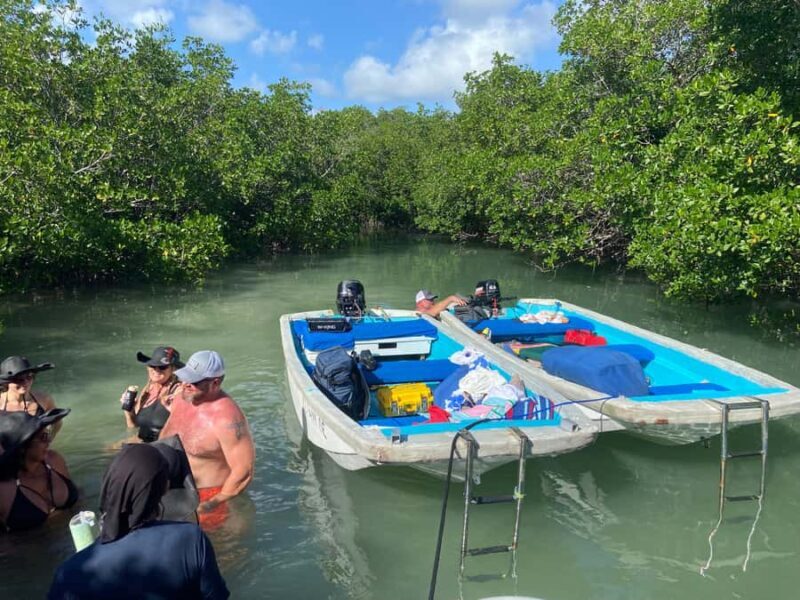 Key West: Mangroves & Bars Motorboat Tour - FAQs