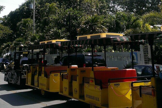 Key West: Morning Snorkeling Breakfast & Drinks, Conch Train - Key Points