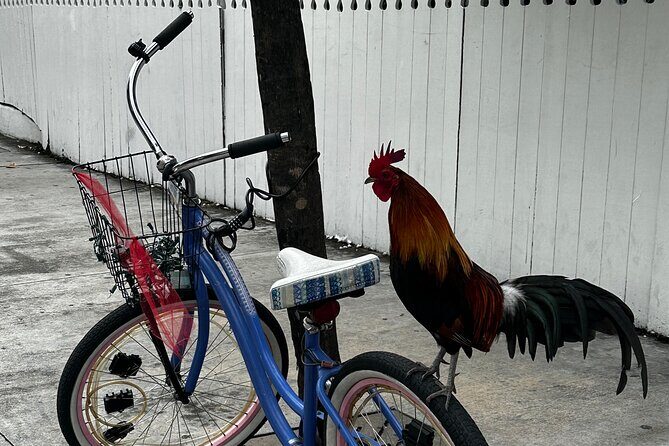 Key West Odyssey: Uncover Island Secrets, Walk by Locals - The Tour Itinerary: What You Can Expect