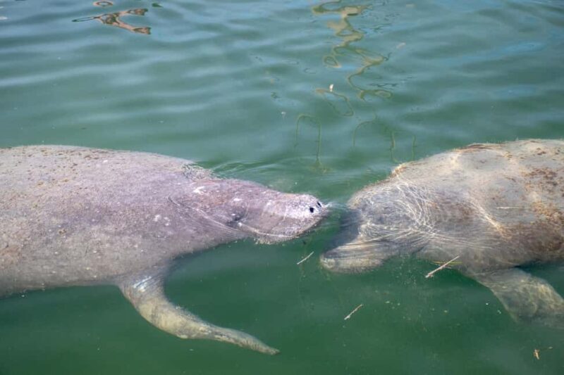 Key West: Private Boat Charter with Captain - The Experience: What to Expect from Your Private Boat Day