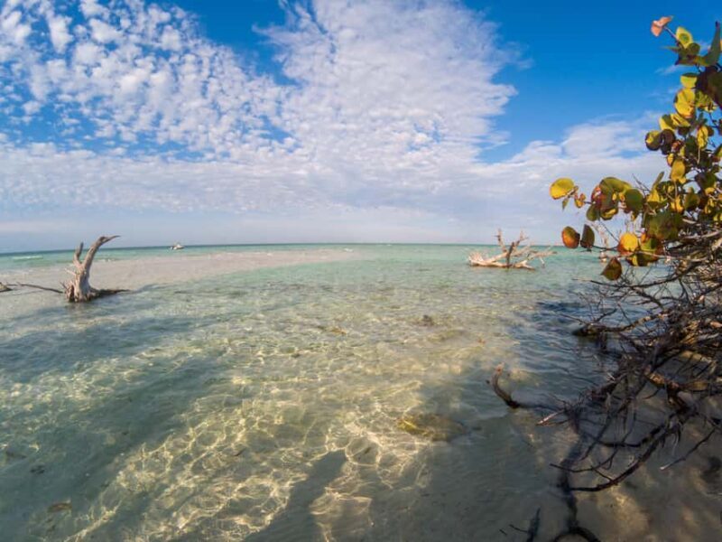 Key West: Private Boat Charter with Captain - Who Should Book This Tour?