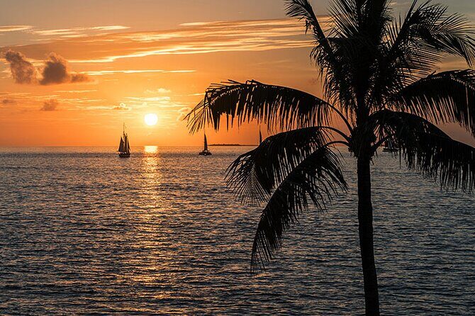 Key West: Private Sunset Cruise on an Authentic Tiki Bar Boat - What to Expect From This Sunset Cruise