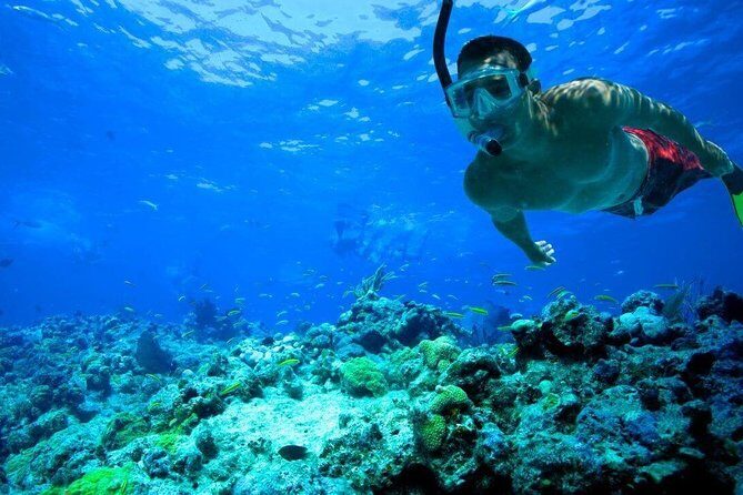 Key West Reef Snorkel  Morning Mimosas or Afternoon Margaritas - FAQ