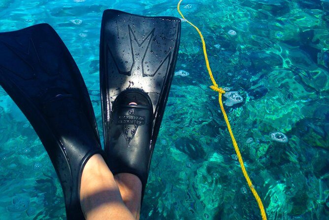Key West Reef Snorkel & Sail Adventure - What the Reviews Say
