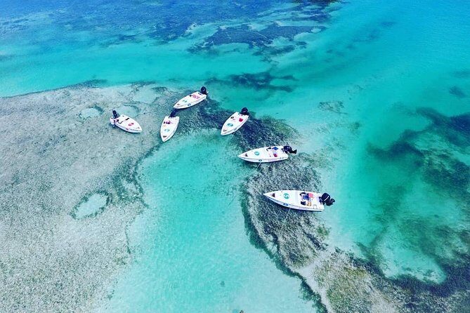 Key West Safari Eco Sandbar Tour Adventure with Snorkeling - Key Points