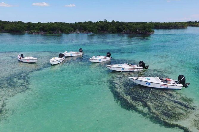Key West Safari Eco Sandbar Tour Adventure with Snorkeling - A Closer Look at the Experience