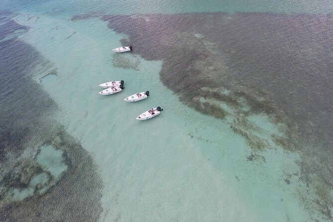 Key West Safari Eco Sandbar Tour Adventure with Snorkeling - Pros and Cons Based on Experience and Reviews
