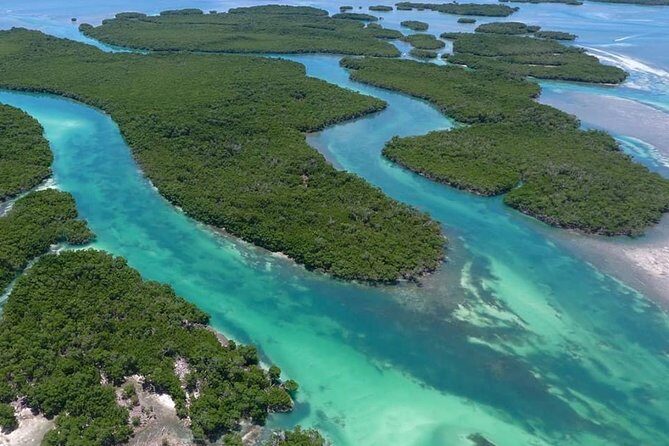 Key West Safari Eco Sandbar Tour Adventure with Snorkeling - FAQs