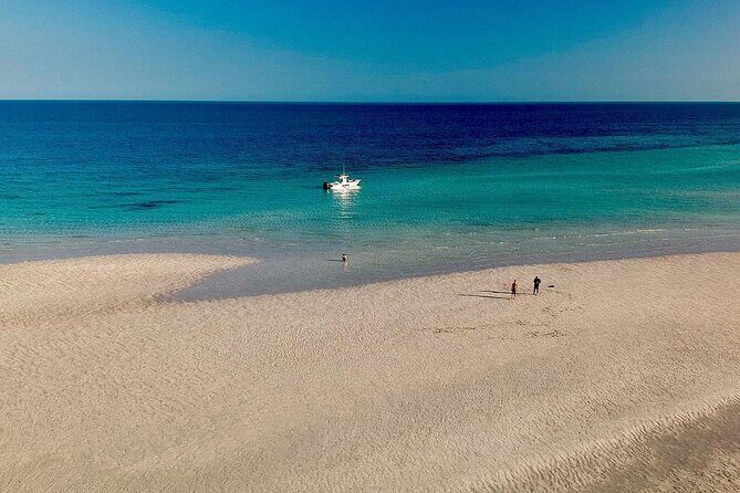 Key West Sandbar Charter - Why You Might Love the Key West Sandbar Charter