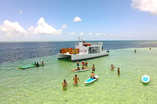 Key West Sandbar Charter With Kayak Tour: Includes Lunch & Drinks - What to Expect from Your Key West Sandbar & Kayak Tour