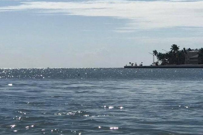 Key West Stand Up Paddleboard Rental - A Friendly Look at the Key West Stand-Up Paddleboard Rental Experience