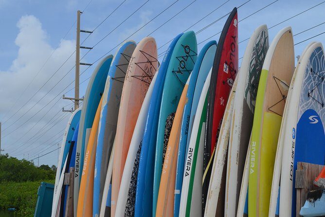 Key West Stand Up Paddleboard Rental - Key Points