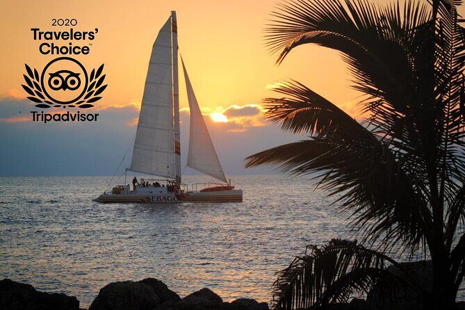 Key West Sunset Sail: Dolphin Watching, Wine, and Tapas - Who Is This Tour Best For?