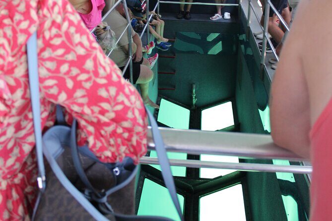 Key West Tours from Miami: Dolphin Discovery, Snorkeling & More ! - What to Expect from the Tour