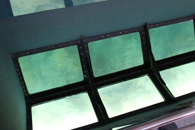 Key West Tours from Miami: Dolphin Discovery, Snorkeling & More ! - The Key West Experience