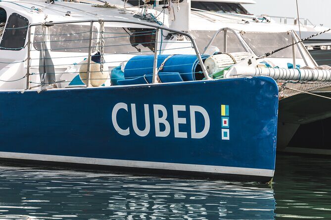 Key West's Favorite Afternoon Dolphin Sail - Introduction