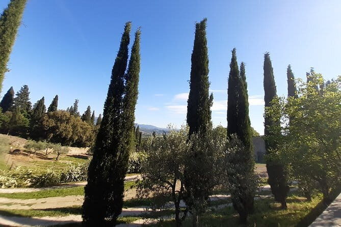 Kickbike Adventure through Florence with locals - Authentic Feedback from Participants