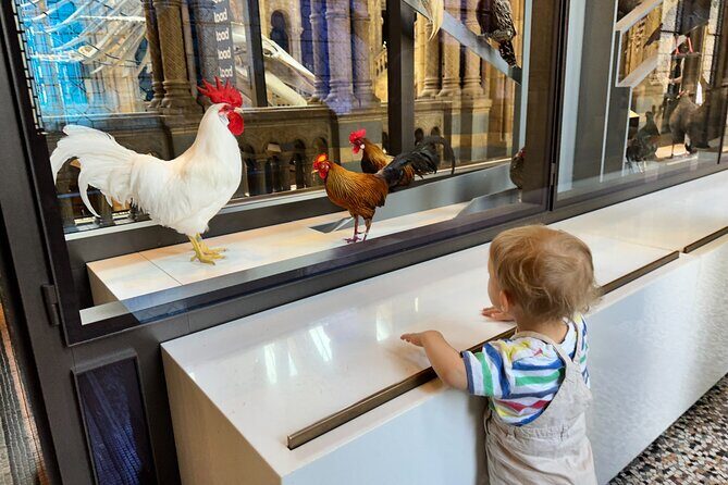 Kid-Friendly Natural History Museum & Dinosaurs Private Guided Tour in London - The Sum Up: Is This Tour Right for You?