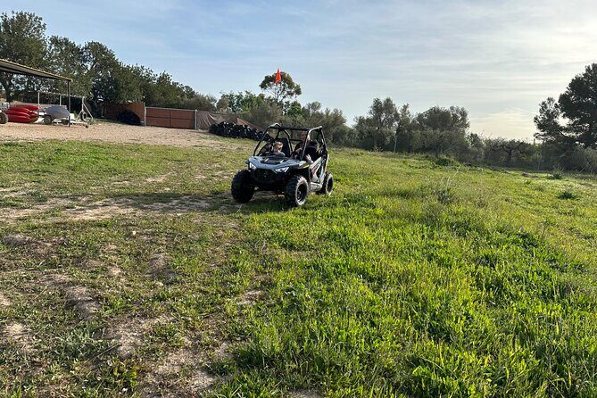 Kids Buggy Experience in Salou - Final Words