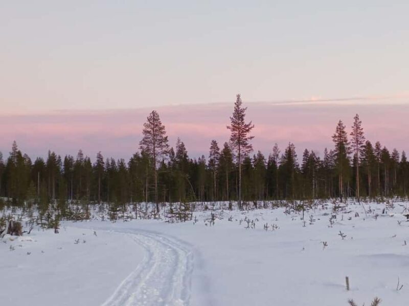 Kierinki Village: Snowmobile Sleigh Ride with Guide - Key Points