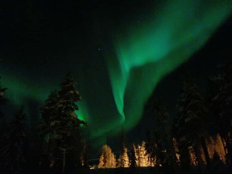 Kierinki Village: Snowmobile Sleigh Ride with Guide - What To Expect and Practicalities