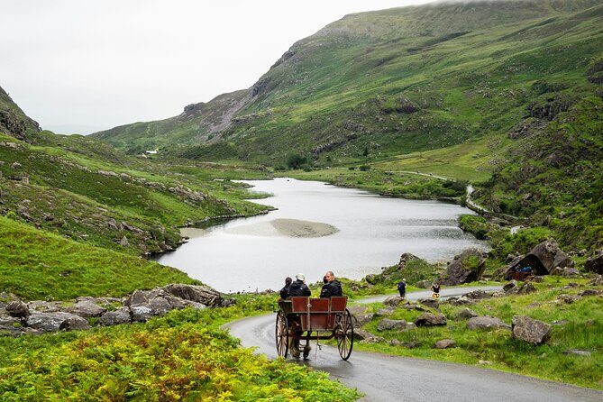 Killarney Highlights Walk Castle Lake Carriage Ride - What to Expect from the Tour