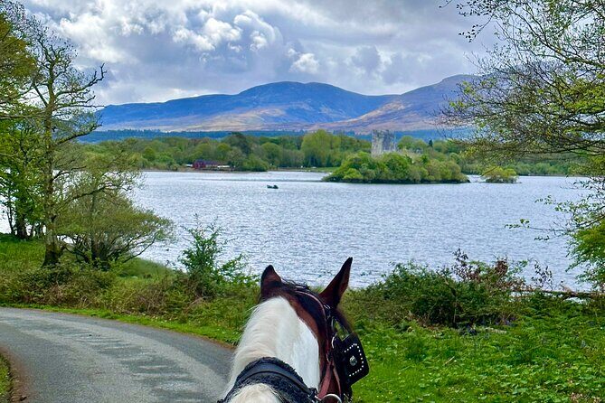 Killarney Jaunting Car Tour - FAQs