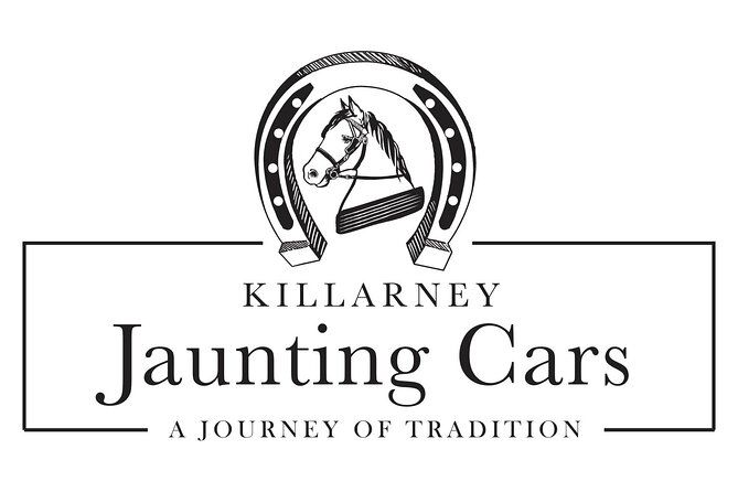 Killarney Jaunting Car Tour- Park to Castle - The Ride Through Town and Into the Park: The Easy Parts First
