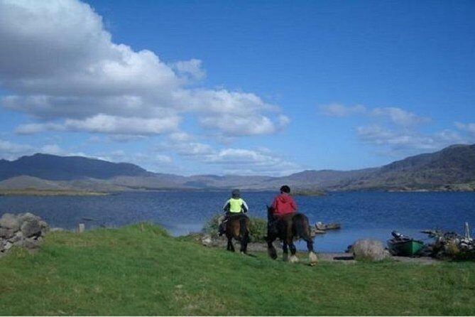 Killarney National Park Horseback Ride. Co Kerry. Guided. 1 hour. - Is This Tour Right for You?