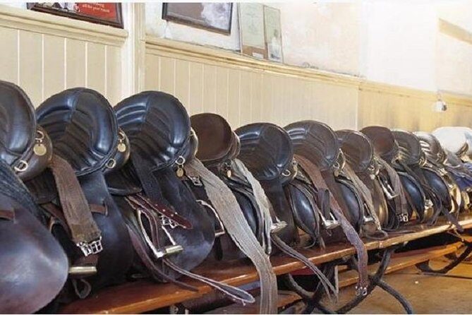 Killarney National Park Horseback Ride. Co Kerry. Guided. 1 hour. - FAQs