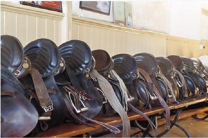 Killarney National Park Horseback Ride. Co Kerry. Guided. 2 hours. - An Introduction to the Experience