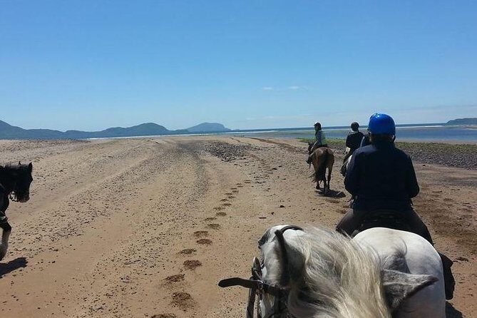 Killarney National Park Horseback Ride. Co Kerry. Guided. 2 hours. - Practical Details and Value