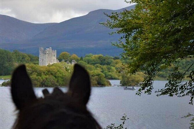 Killarney National Park Horseback Ride. Co Kerry. Guided. 3 hours. - Pricing and Value: Is It Worth It?