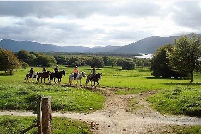 Killarney National Park Horseback Ride. Co Kerry. Guided. 3 hours. - Who Will Love This Tour?