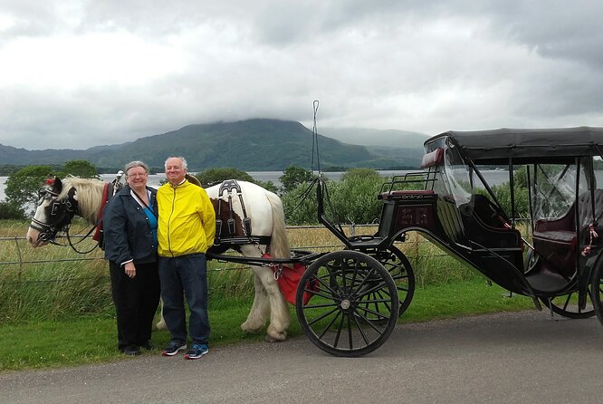 Killarney National Park Tour - A private ride with a family-run feel
