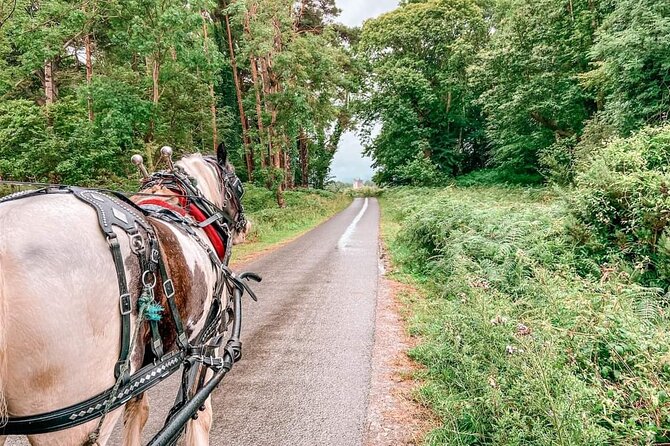 Killarney National Park Tour - Rain or shine: it still works as a highlight